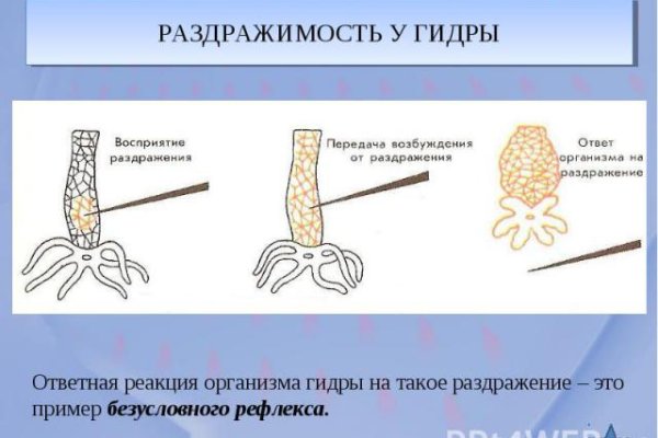 Что такое кракен в даркнете