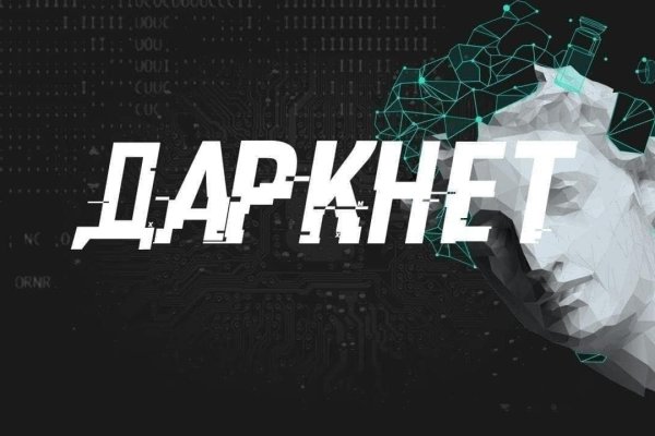 Что за приложение кракен